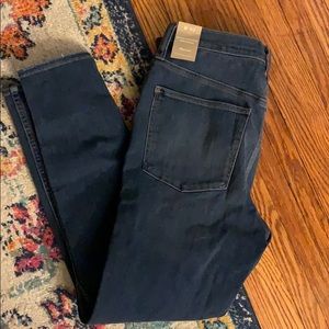 Madewell Roadtripper Jegging